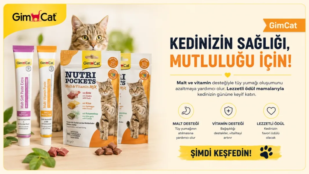 Gimcat Ürünlerinde %20 İndirim