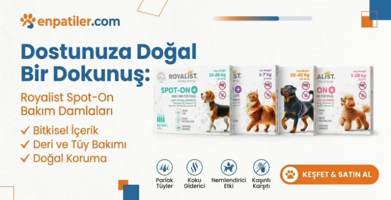 Royalist Spot on Köpek Damlası