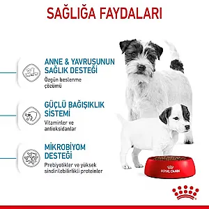 Royal Canin Mini Starter Mother & Babydog Kuru Köpek Maması 4 kg - 3