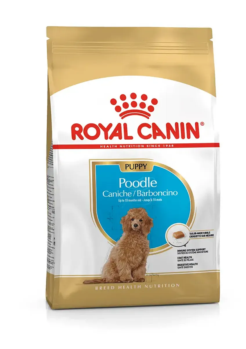 Royal Canin Poodle Puppy Yavru Köpek Maması 3 kg
