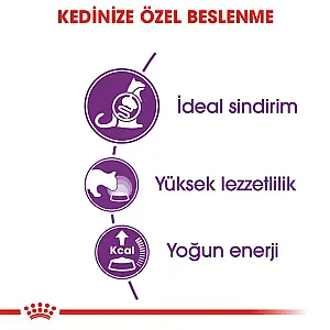 Royal Canin Sensible 33 Sindirim Hassasiyeti Olan Yetişkin Kuru Kedi Maması 4 kg - 6