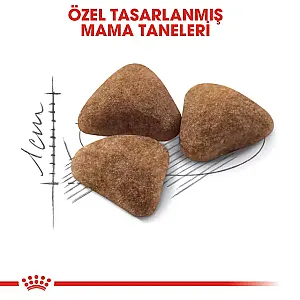 Royal Canin Indoor 27 Evde Yaşayan Yetişkin Kedi Kuru Maması 2 kg - 3