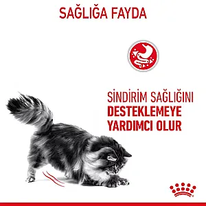 Royal Canin Sindirim Hassasiyeti Olan Kediler için Yaş Kedi Maması 12 x 85g - 2