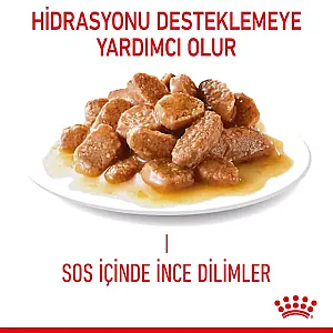 Royal Canin Sindirim Hassasiyeti Olan Kediler için Yaş Kedi Maması 12 x 85g - 3
