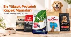 En yüksek proteinli köpek mamaları