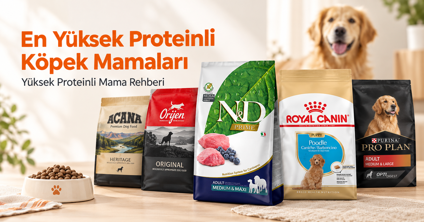 En Yüksek Proteinli Köpek Mamaları En yüksek proteinli köpek mamaları
