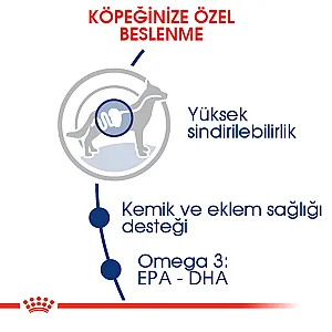 Royal Canin Maxi Büyük Irk Yetişkin Köpek Maması 15 kg - 2