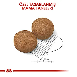 Royal Canin Maxi Büyük Irk Yetişkin Köpek Maması 15 kg - 3