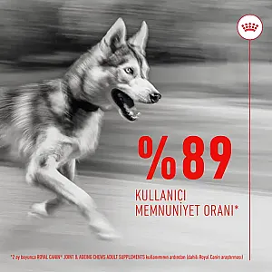 Royal Canin Joint & Ageing Chews Eklem ve Yaşlanma Destekleyici Köpek Ödül Maması 240 g - 2