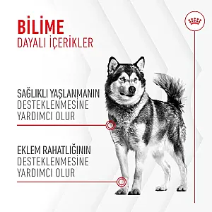Royal Canin Joint & Ageing Chews Eklem ve Yaşlanma Destekleyici Köpek Ödül Maması 240 g - 5
