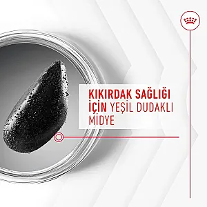 Royal Canin Joint & Ageing Chews Eklem ve Yaşlanma Destekleyici Köpek Ödül Maması 240 g - 6