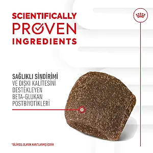 Royal Canin Sindirim Sistemini Destekleyen Tamamlayıcı Yetişkin Köpek Ödül Maması 160gr - 4