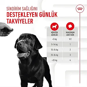 Royal Canin Sindirim Sistemini Destekleyen Tamamlayıcı Yetişkin Köpek Ödül Maması 160gr - 5