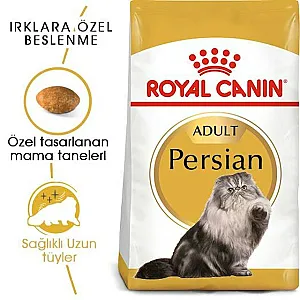 Royal Canin Persian Adult İran kedisi yetişkin kuru kedi maması 10 kg paketi - 2