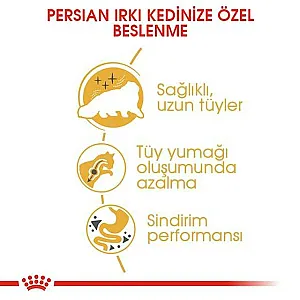 Royal Canin Persian Adult İran kedisi yetişkin kuru kedi maması 10 kg paketi - 3