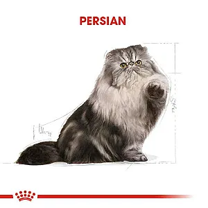 Royal Canin Persian Adult İran kedisi yetişkin kuru kedi maması 10 kg paketi - 5