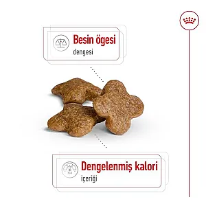 Royal Canin Mini Adult 8+ küçük ırk yaşlı köpek maması 2 kg paketi - 5