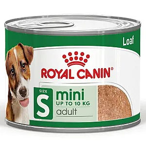 Royal Canin Mini Adult Loaf küçük ırk yetişkin yaş köpek maması 195 g kutusu