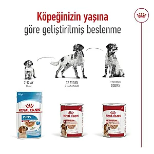Royal Canin Medium Adult Loaf orta ırk yetişkin yaş köpek maması 410 g kutusu - 5