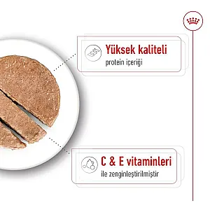 Royal Canin Medium Adult Loaf orta ırk yetişkin yaş köpek maması 410 g kutusu - 6