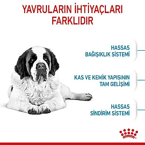 Royal Canin Giant Junior dev ırk yavru köpek maması 15 kg paketi - 4