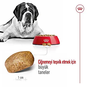 Royal Canin Giant Adult dev ırk yetişkin köpek maması 15 kg paketi - 3