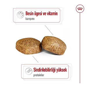 Royal Canin Giant Adult dev ırk yetişkin köpek maması 15 kg paketi - 4