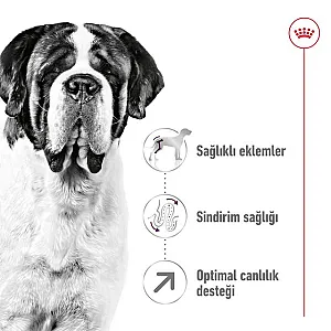 Royal Canin Giant Adult dev ırk yetişkin köpek maması 15 kg paketi - 5
