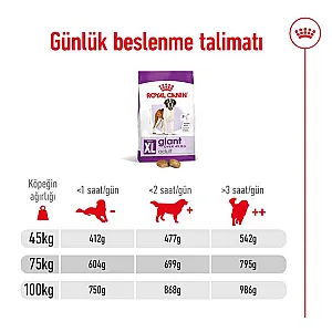 Royal Canin Giant Adult dev ırk yetişkin köpek maması 15 kg paketi - 8