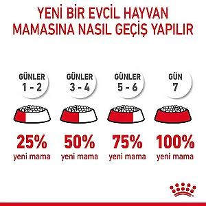 Royal Canin Hair & Skin Care deri ve tüy sağlığı yetişkin kedi maması 10 kg paketi - 8