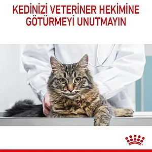 Royal Canin Hair & Skin Care deri ve tüy sağlığı yetişkin kedi maması 10 kg paketi - 10