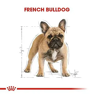 Royal Canin French Bulldog Adult Fransız Bulldog yetişkin köpek maması 3 kg paketi - 2
