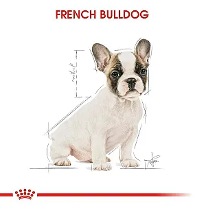 Royal Canin French Bulldog Puppy Fransız Bulldog yavru köpek maması 3 kg paketi - 2