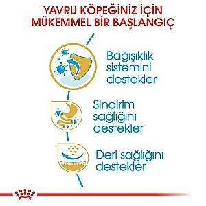 Royal Canin French Bulldog Puppy Fransız Bulldog yavru köpek maması 3 kg paketi - 4