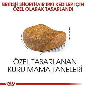 Royal Canin British Shorthair Adult yetişkin kuru kedi maması paketi - 4