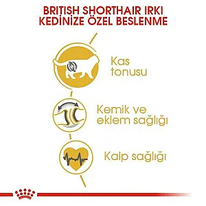 Royal Canin British Shorthair Adult yetişkin kuru kedi maması paketi - 5