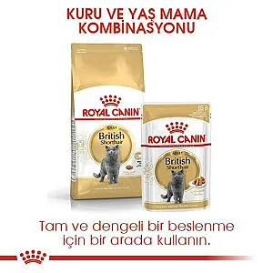 Royal Canin British Shorthair Adult yetişkin kuru kedi maması paketi - 6