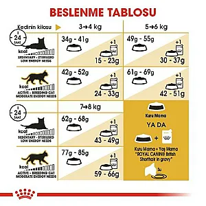 Royal Canin British Shorthair Adult yetişkin kuru kedi maması paketi - 9