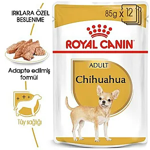 Royal Canin Chihuahua Adult yetişkin yaş köpek maması 85 g poşeti - 6