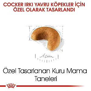 Royal Canin Cocker Puppy yavru köpek maması 3 kg paketi - 3