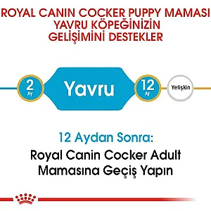 Royal Canin Cocker Puppy yavru köpek maması 3 kg paketi - 5