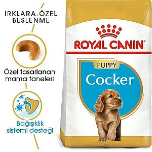 Royal Canin Cocker Puppy yavru köpek maması 3 kg paketi - 8