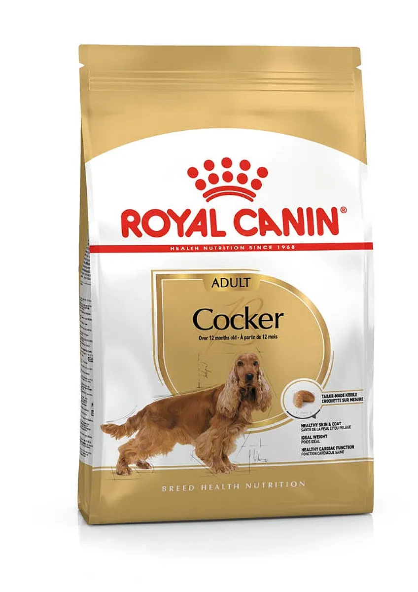 Royal Canin Cocker Adult yetişkin köpek maması 3 kg paketi