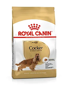 Royal Canin Cocker Adult yetişkin köpek maması 3 kg paketi