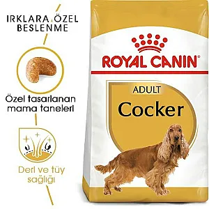 Royal Canin Cocker Adult yetişkin köpek maması 3 kg paketi - 7