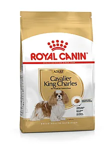 Royal Canin Cavalier King Charles Adult yetişkin köpek maması paketi