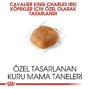 Royal Canin Cavalier King Charles Adult yetişkin köpek maması paketi - 3