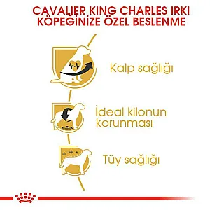 Royal Canin Cavalier King Charles Adult yetişkin köpek maması paketi - 4