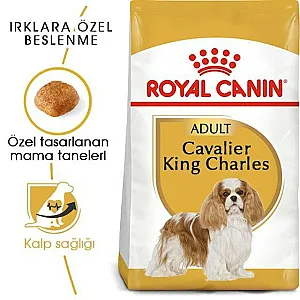Royal Canin Cavalier King Charles Adult yetişkin köpek maması paketi - 7