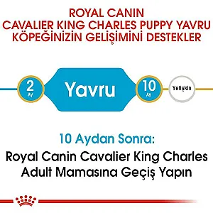 Royal Canin Cavalier King Charles Puppy yavru köpek maması 1,5 kg paketi - 4